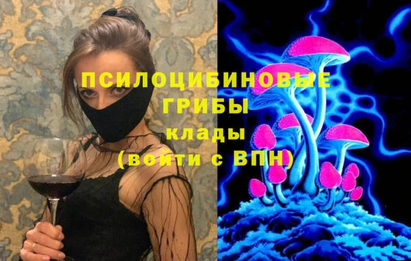 стафф Дмитров